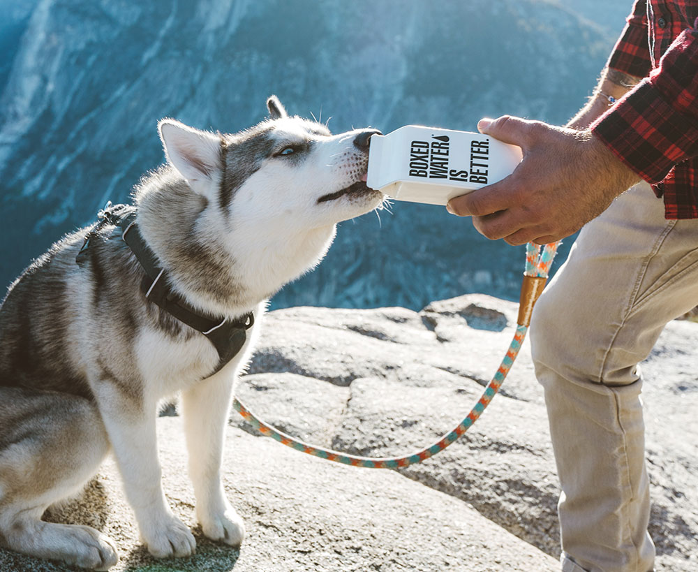 boxed-water-is-better